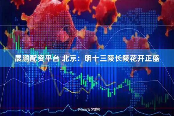 展鹏配资平台 北京：明十三陵长陵花开正盛